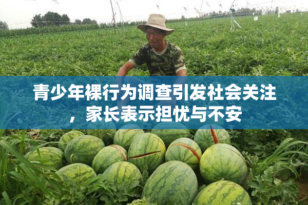 青少年裸行为调查引发社会关注，家长表示担忧与不安