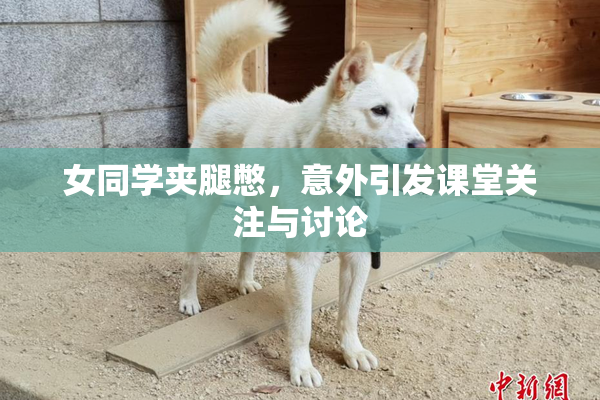 女同学夹腿憋，意外引发课堂关注与讨论