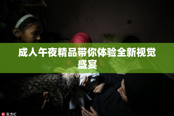 成人午夜精品带你体验全新视觉盛宴