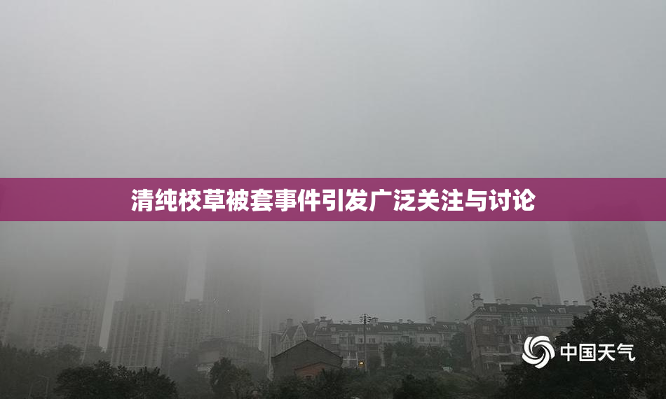 清纯校草被套事件引发广泛关注与讨论