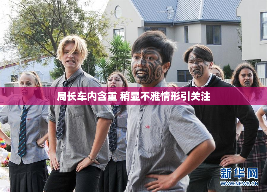 局长车内含重 稍显不雅情形引关注
