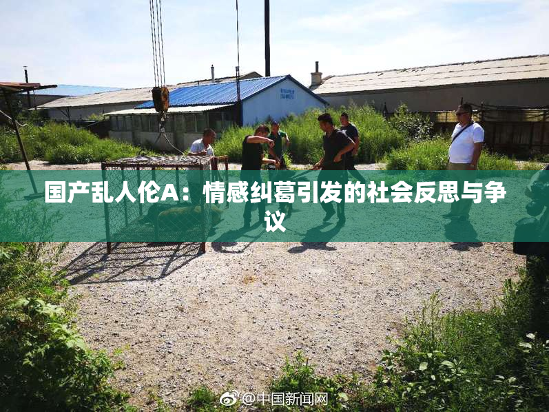 国产乱人伦A：情感纠葛引发的社会反思与争议