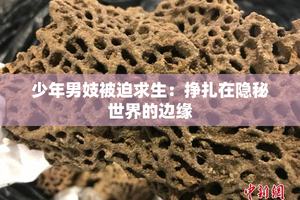 少年男妓被迫求生：挣扎在隐秘世界的边缘