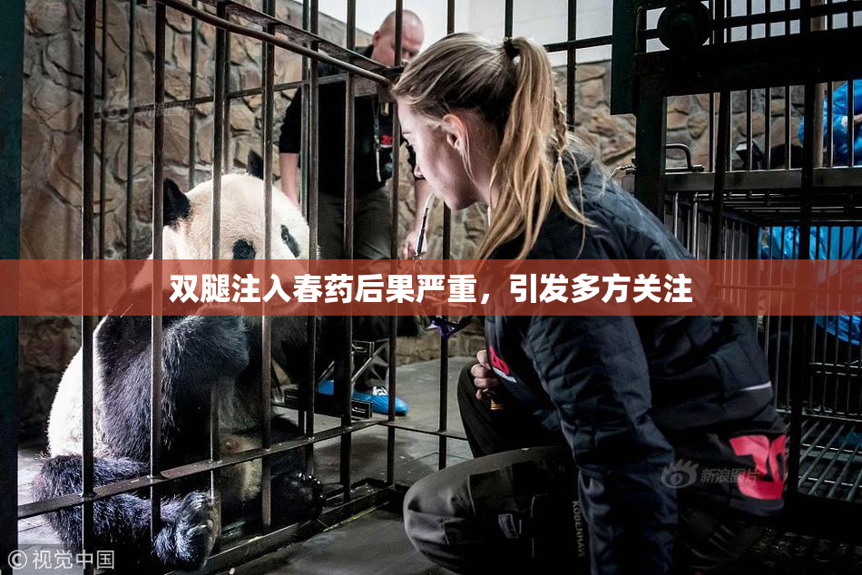 双腿注入春药后果严重，引发多方关注