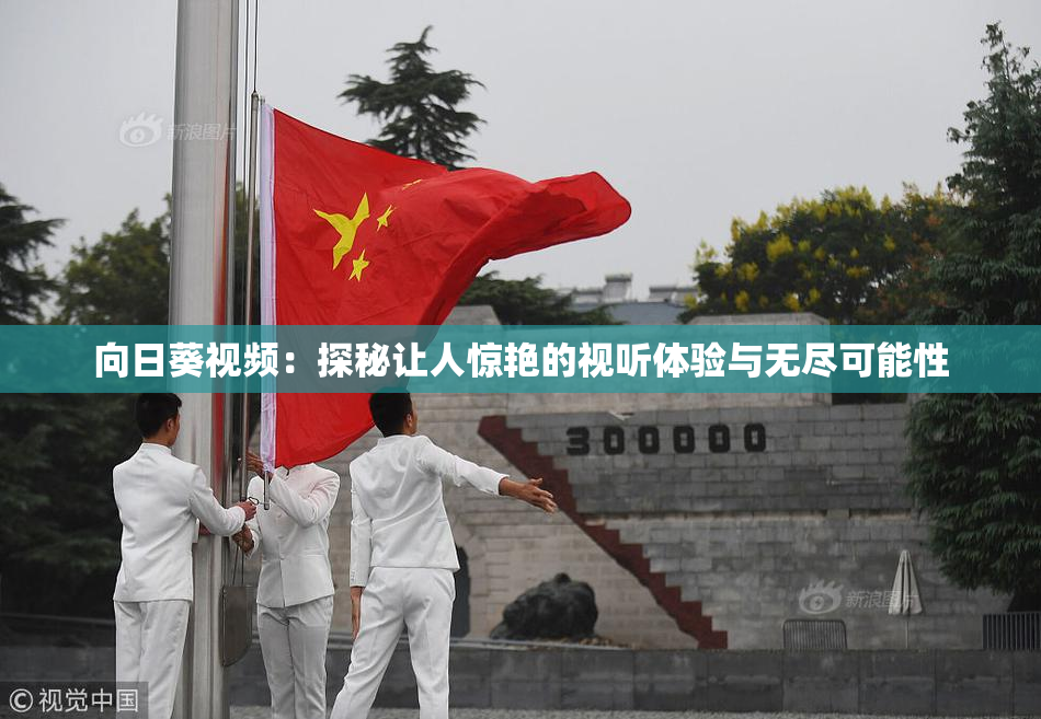 向日葵视频：探秘让人惊艳的视听体验与无尽可能性