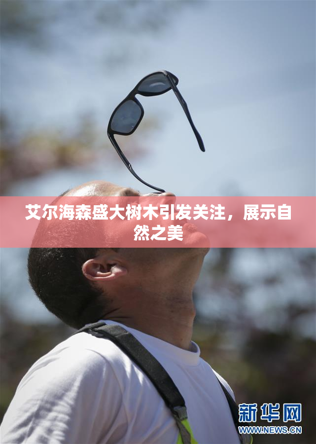 艾尔海森盛大树木引发关注，展示自然之美