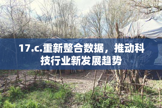 17.c.重新整合数据，推动科技行业新发展趋势