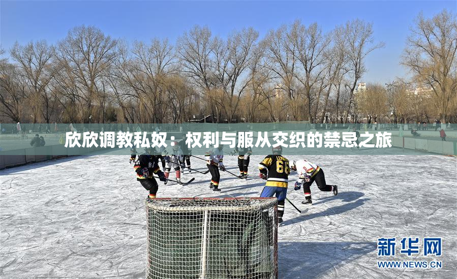 欣欣调教私奴：权利与服从交织的禁忌之旅