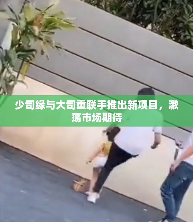 少司缘与大司重联手推出新项目，激荡市场期待