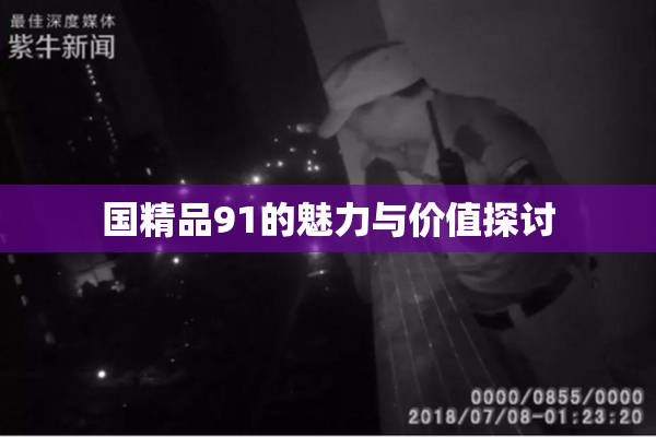 国精品91的魅力与价值探讨