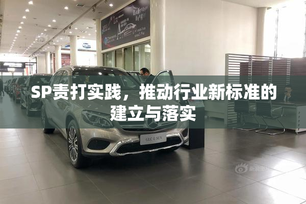SP责打实践，推动行业新标准的建立与落实