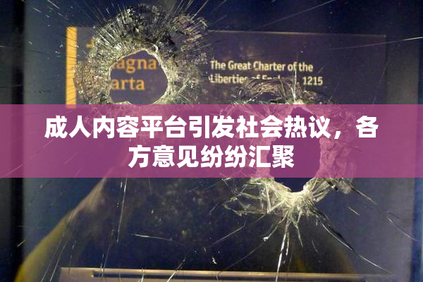 成人内容平台引发社会热议，各方意见纷纷汇聚