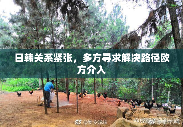 日韩关系紧张，多方寻求解决路径欧方介入