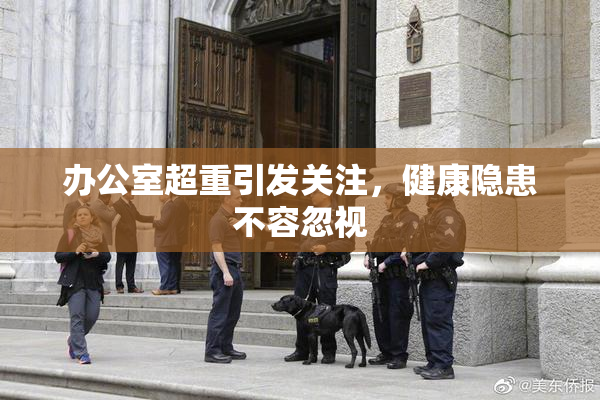 办公室超重引发关注，健康隐患不容忽视