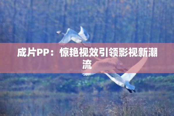 成片PP：惊艳视效引领影视新潮流