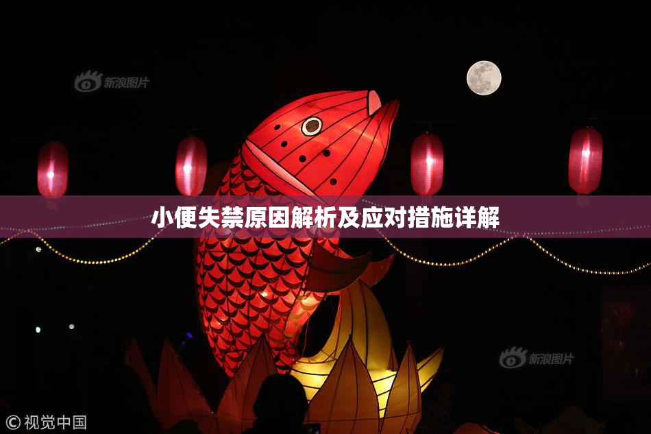 小便失禁原因解析及应对措施详解