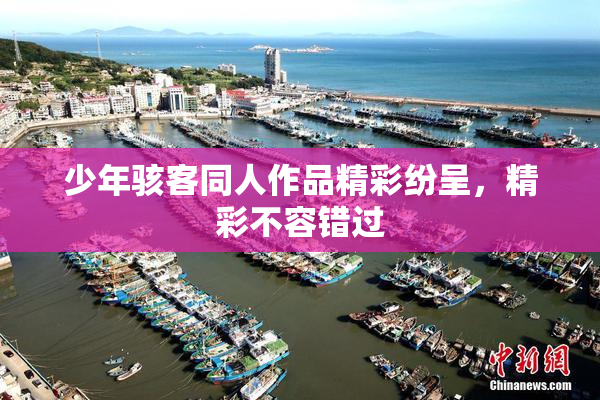 少年骇客同人作品精彩纷呈，精彩不容错过