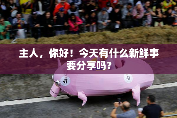 主人，你好！今天有什么新鲜事要分享吗？