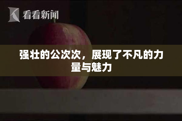 强壮的公次次，展现了不凡的力量与魅力