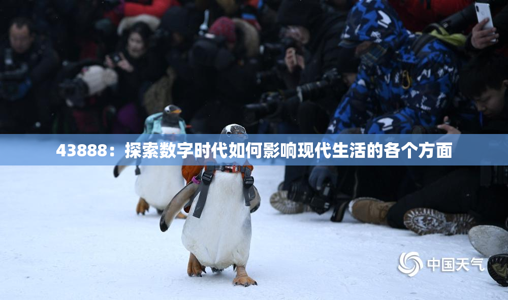 43888：探索数字时代如何影响现代生活的各个方面