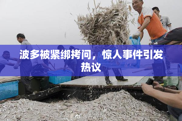 波多被紧绑拷问，惊人事件引发热议