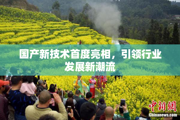 国产新技术首度亮相，引领行业发展新潮流