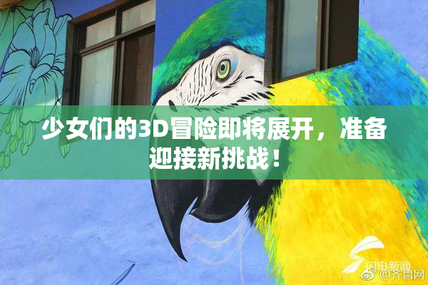 少女们的3D冒险即将展开，准备迎接新挑战！
