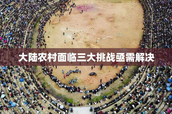 大陆农村面临三大挑战亟需解决