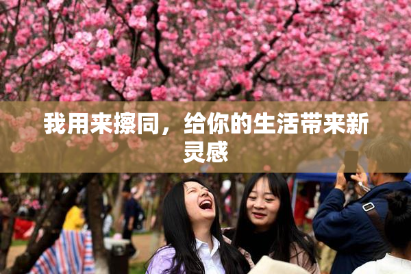 我用来擦同，给你的生活带来新灵感