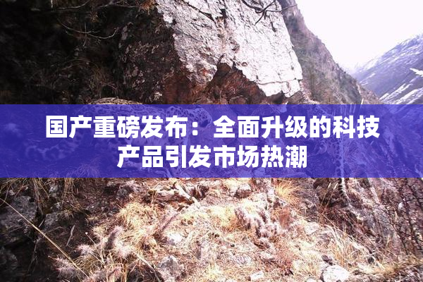 国产重磅发布：全面升级的科技产品引发市场热潮