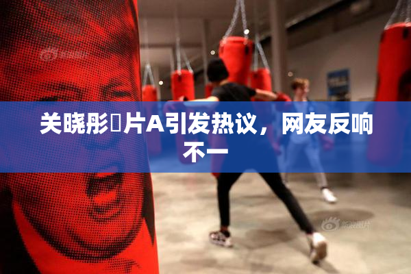 关晓彤婬片A引发热议，网友反响不一