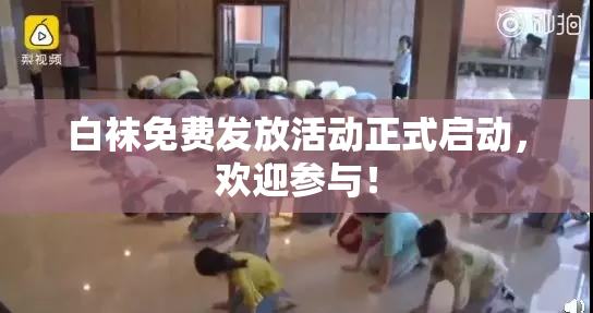 白袜免费发放活动正式启动，欢迎参与！