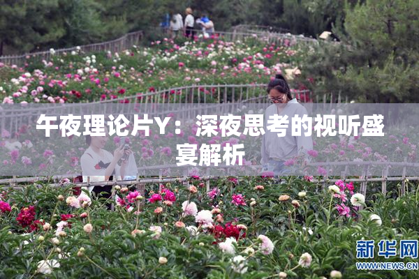 午夜理论片Y：深夜思考的视听盛宴解析