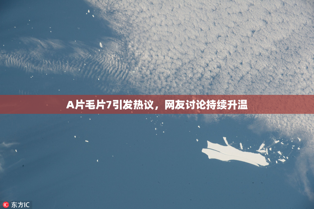 A片毛片7引发热议，网友讨论持续升温