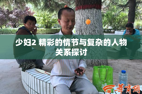 少妇2 精彩的情节与复杂的人物关系探讨