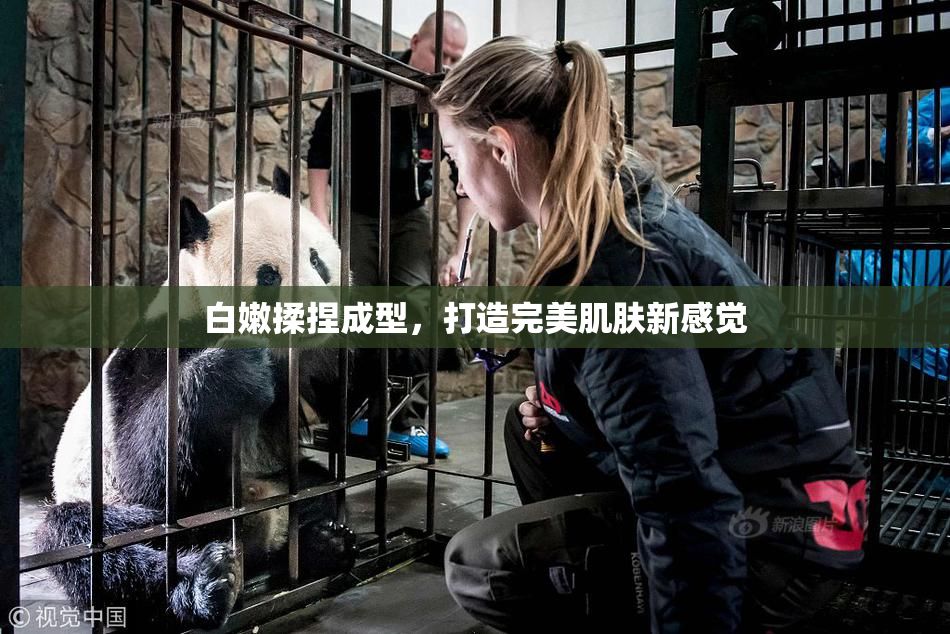 白嫩揉捏成型，打造完美肌肤新感觉