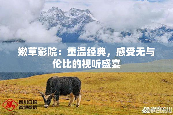 嫩草影院：重温经典，感受无与伦比的视听盛宴