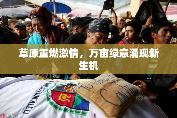 草原重燃激情，万亩绿意涌现新生机