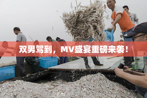 双男驾到，MV盛宴重磅来袭！