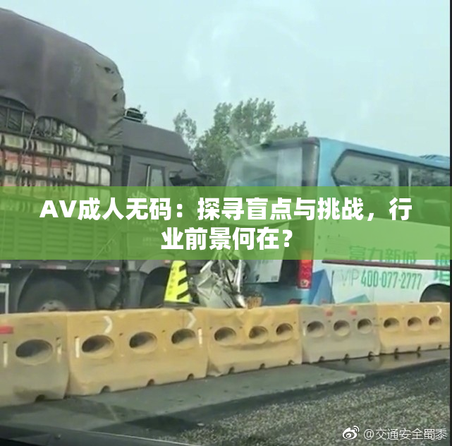 AV成人无码：探寻盲点与挑战，行业前景何在？