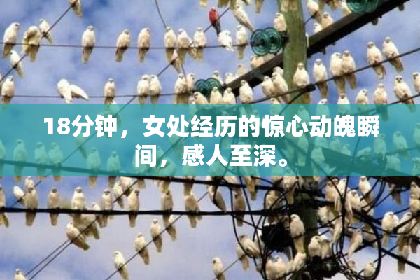 18分钟，女处经历的惊心动魄瞬间，感人至深。