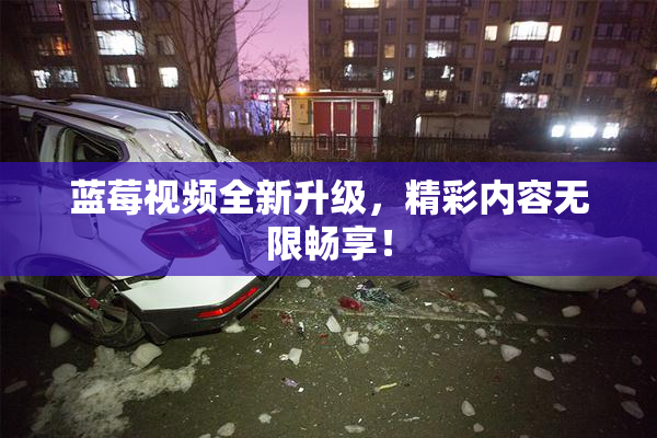 蓝莓视频全新升级，精彩内容无限畅享！