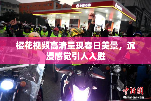 樱花视频高清呈现春日美景，沉浸感觉引人入胜