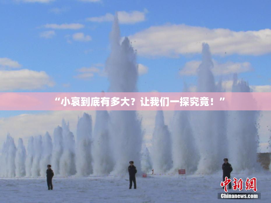 “小哀到底有多大？让我们一探究竟！”