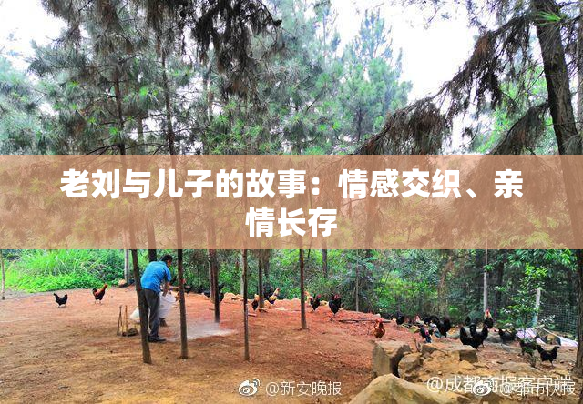 老刘与儿子的故事：情感交织、亲情长存