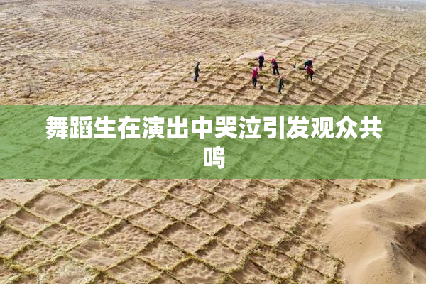 舞蹈生在演出中哭泣引发观众共鸣