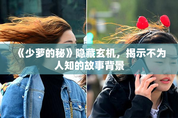 《少萝的秘》隐藏玄机，揭示不为人知的故事背景