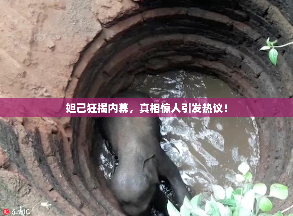 妲己狂揭内幕，真相惊人引发热议！
