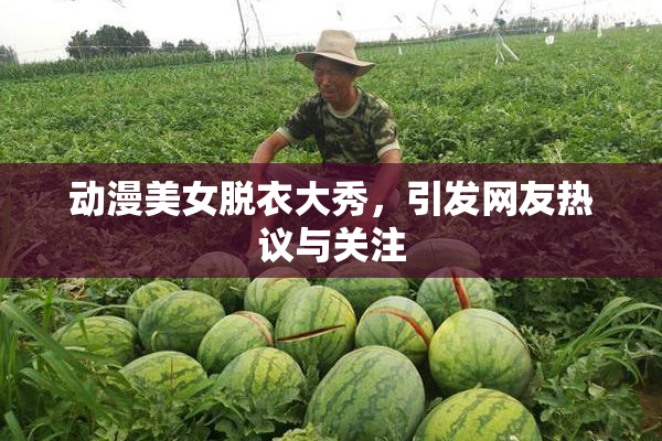 动漫美女脱衣大秀，引发网友热议与关注