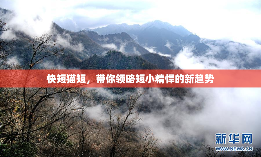 快短猫短，带你领略短小精悍的新趋势
